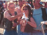 Click to view big image Flasher1278.jpg